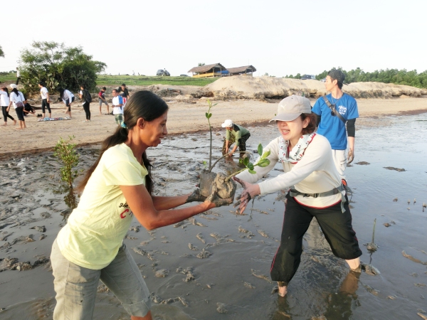 国際協力にチャレンジ！インドネシア・スンバ島でマングローブの植林を行うボランティアツアー催行