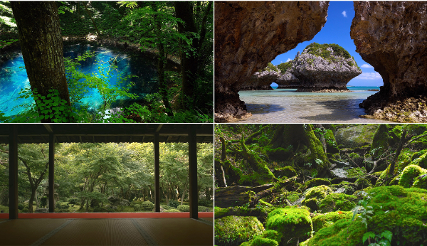 白神山地に沖縄、京都…癒しの映像と自然音収録の高画質動画　ドコモ「Lemino」で配信開始、専門家が監修