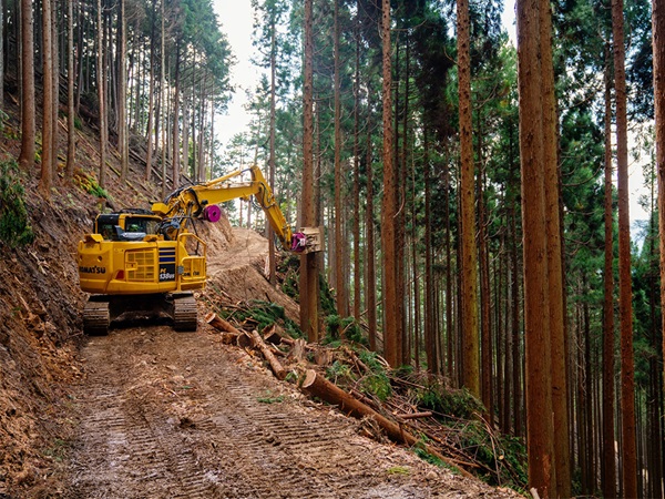 “眠れる預金”を林業活性化に生かす！　六次産業化に取り組む企業・団体を支援【株式会社トビムシ】
