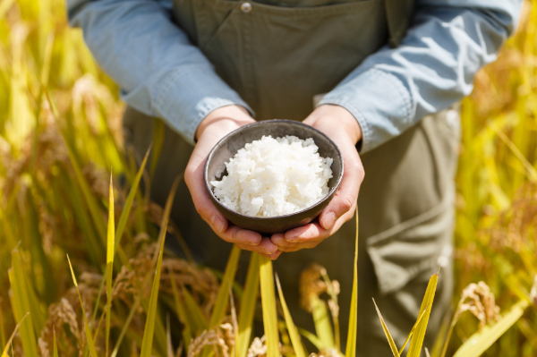 稲作を体験する「お米の学校」とは？　星野リゾート・リゾナーレ那須の宿泊者向けアクティビティー