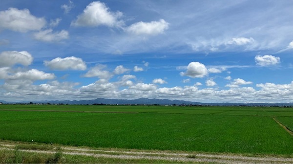 情勢不安に物価高……2050年、私たちの「食卓」はどうなる？　三菱総研が示す食料安全保障の長期ビジョンとは